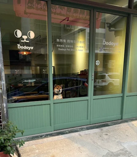Dodoyo | 兜兜有寵物生活旅館