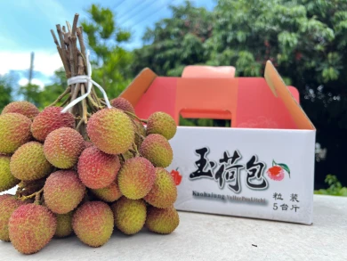 ESG圖片